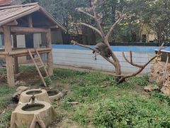 -石家庄市动物园