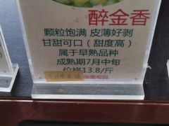 -马陆小张葡萄园农家乐