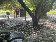 -成都市活水公园