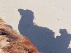 -库伦旗银沙湾旅游景区