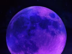 -重庆梵高星空艺术馆(解放碑旗舰店)
