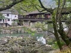 -鹿亭中村