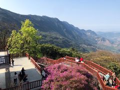 -广州市石门国家森林公园