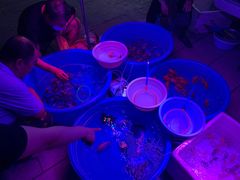 -华声天桥民俗文化园