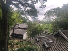 -茶颜悦色(岳麓山顶店)
