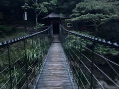 -九鲤湖风景区