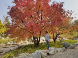 -大望京儿童游乐场