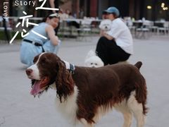 -小意思咖啡店(草桥店)