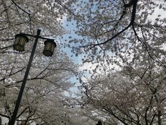 -苏州上方山国家森林公园