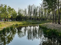 -东郊湿地公园