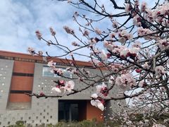 -国际非物质文化遗产博览园