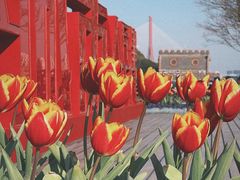 -丹东路渡口(轮渡站)