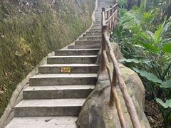 -广州市流溪河国家森林公园