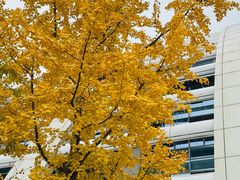 -杭州九堡客运中心