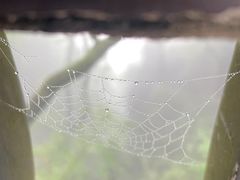 -塔云山