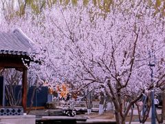 -三里河公园