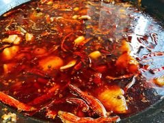 -鲜椒鱼·雅安地标性美食