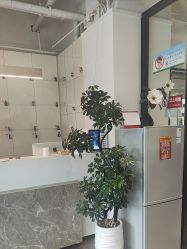 -LJOY丽锦造型·烫发染发