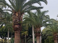 -白鹭洲公园
