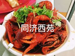 -同济大排档