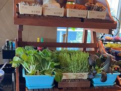 -西安W酒店·观湖露台 美式烧烤