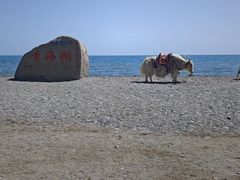 -青海湖国家重点风景名胜区