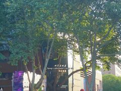 -西安电影制片厂