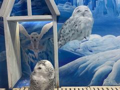 -成都浩海立方海洋公园