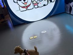 -万达影城(汉街万达广场IMAX店)