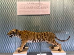 -新白鹿餐厅(银泰西湖文化广场店)