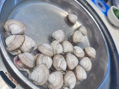 -青蓬海上捞蒸品海鲜城(海岸城店)