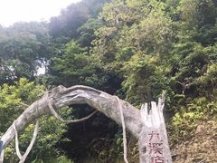 -龙岩森林水乡景区