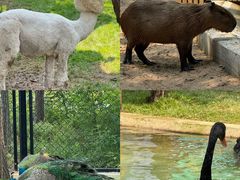 -南戴河国际娱乐中心