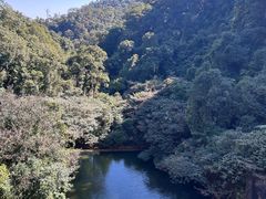 -鼎湖山风景区
