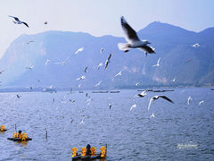 -海埂大坝