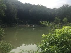 -陶祖圣境风景区