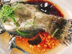 -双月饭店·20年老字号(新村店)