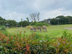 -宁波野生动物园