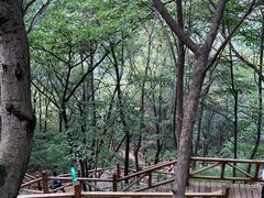 -大岭沟猕猴桃谷风景区