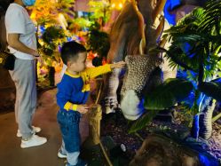 -恐龙探索乐园(磁器口店)