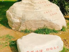 -西清公园