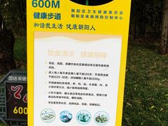 -团结湖公园