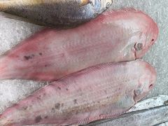 -金沙滩海鲜餐厅(梅江龙水园店)