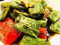 -鸽王世家(东华东路店)