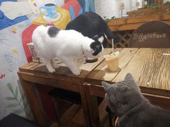 -么么咖啡(燕郊店)