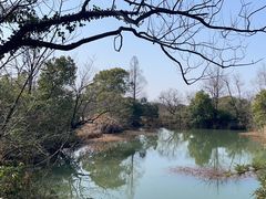 -西溪国家湿地公园