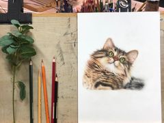 -八哥美术·成人美术画室(总校区)