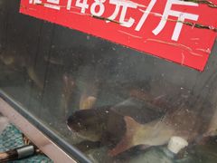 -干老四雅鱼饭店(滨江西路店)