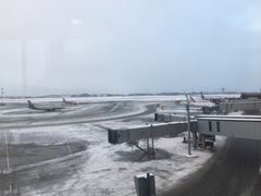 -谢列梅捷沃国际机场
