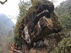 -西岭雪山大飞水景区